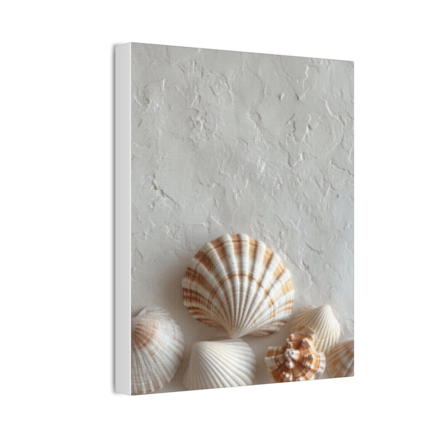 Seashell Serenity Canvas Print