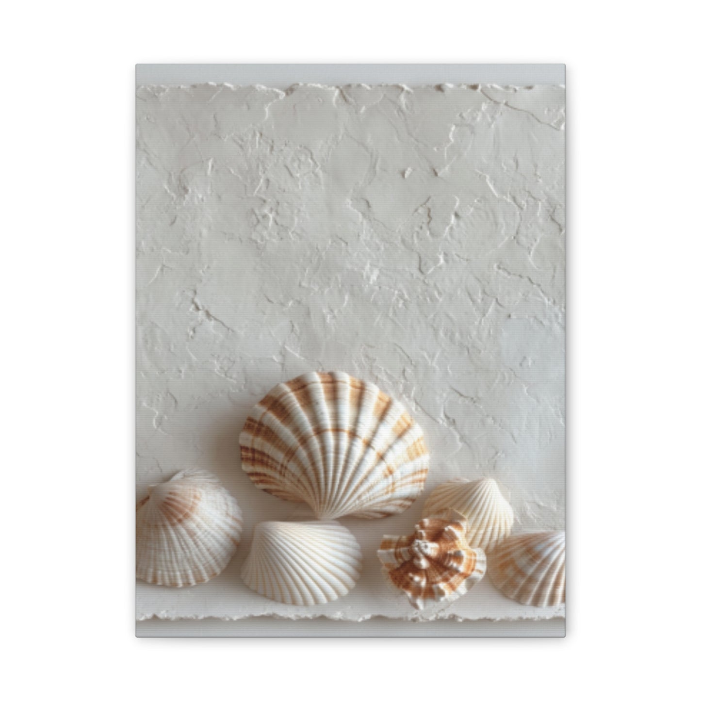 Seashell Serenity Canvas Print