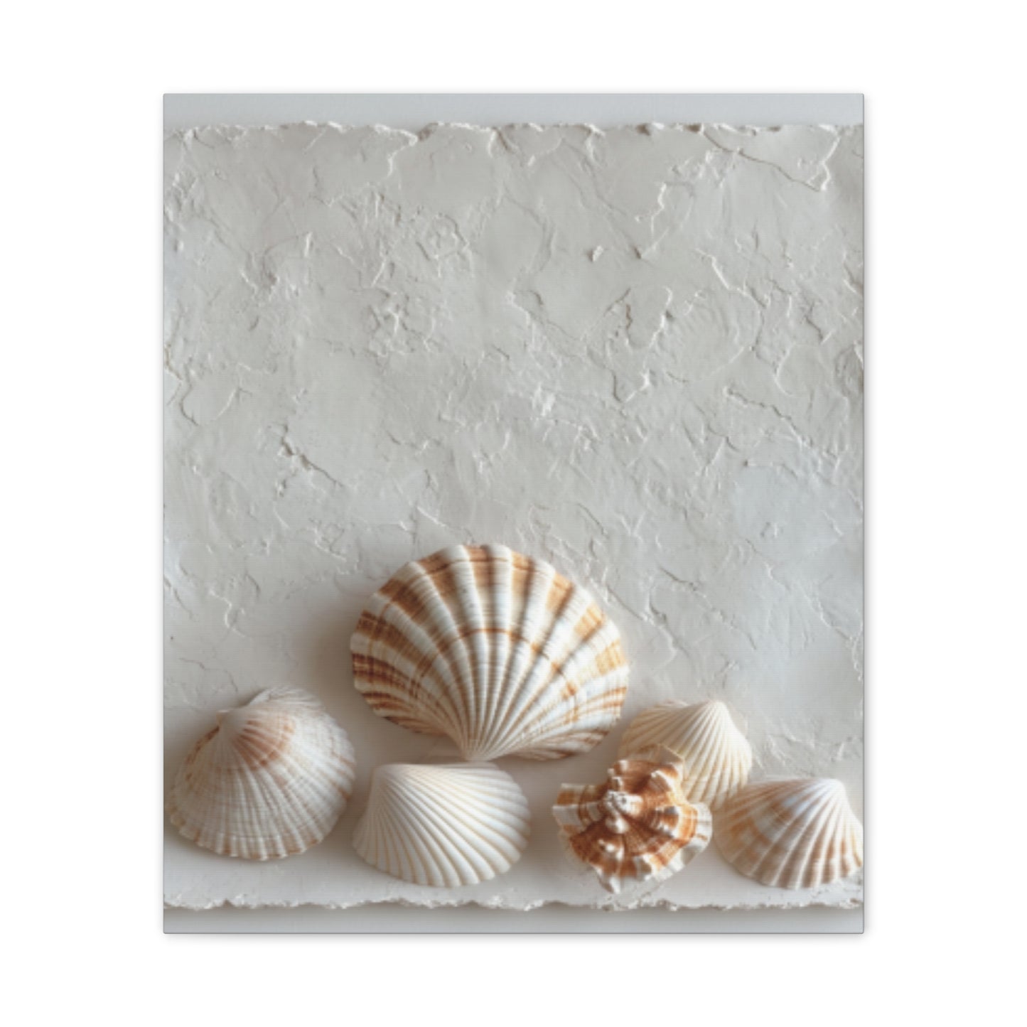 Seashell Serenity Canvas Print