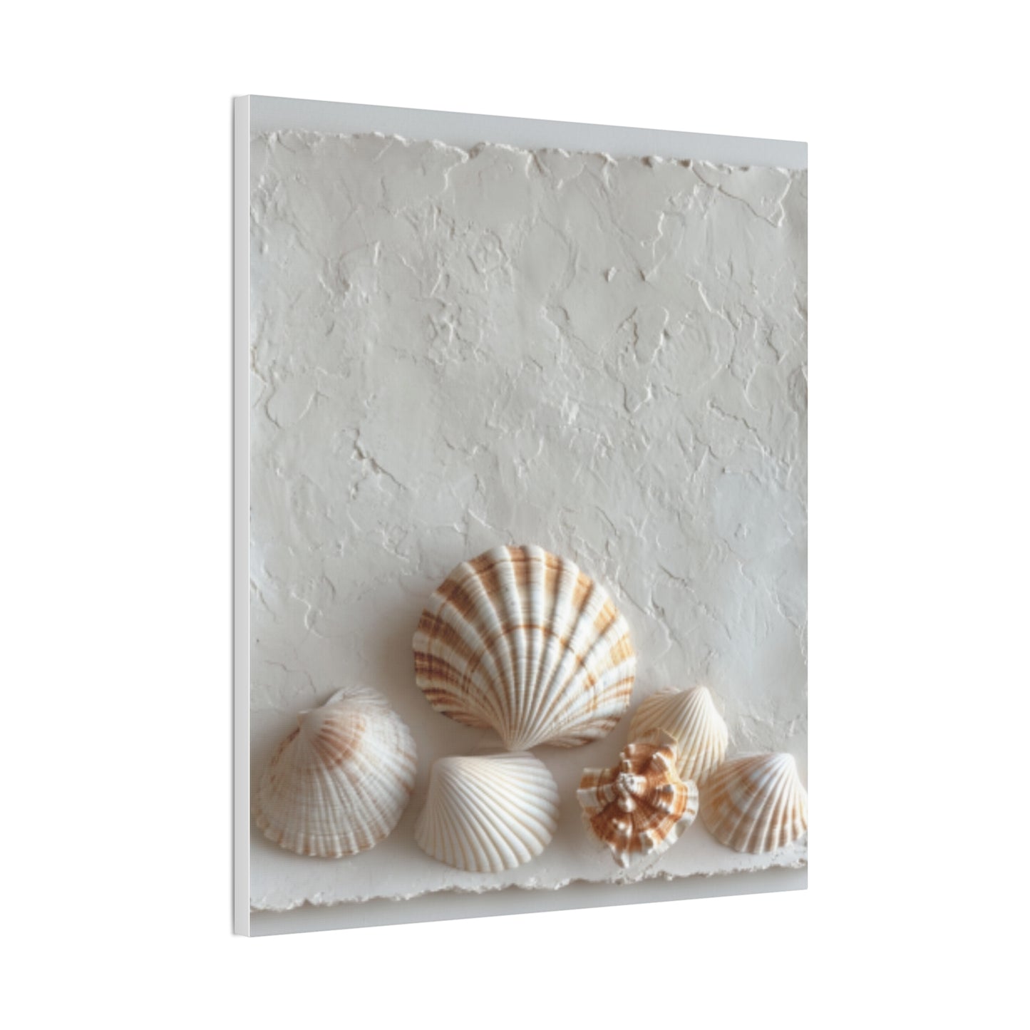 Seashell Serenity Canvas Print