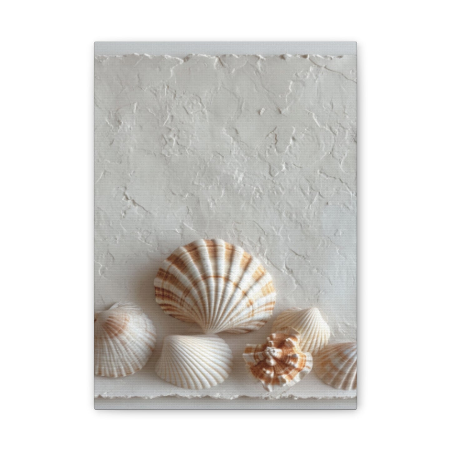 Seashell Serenity Canvas Print