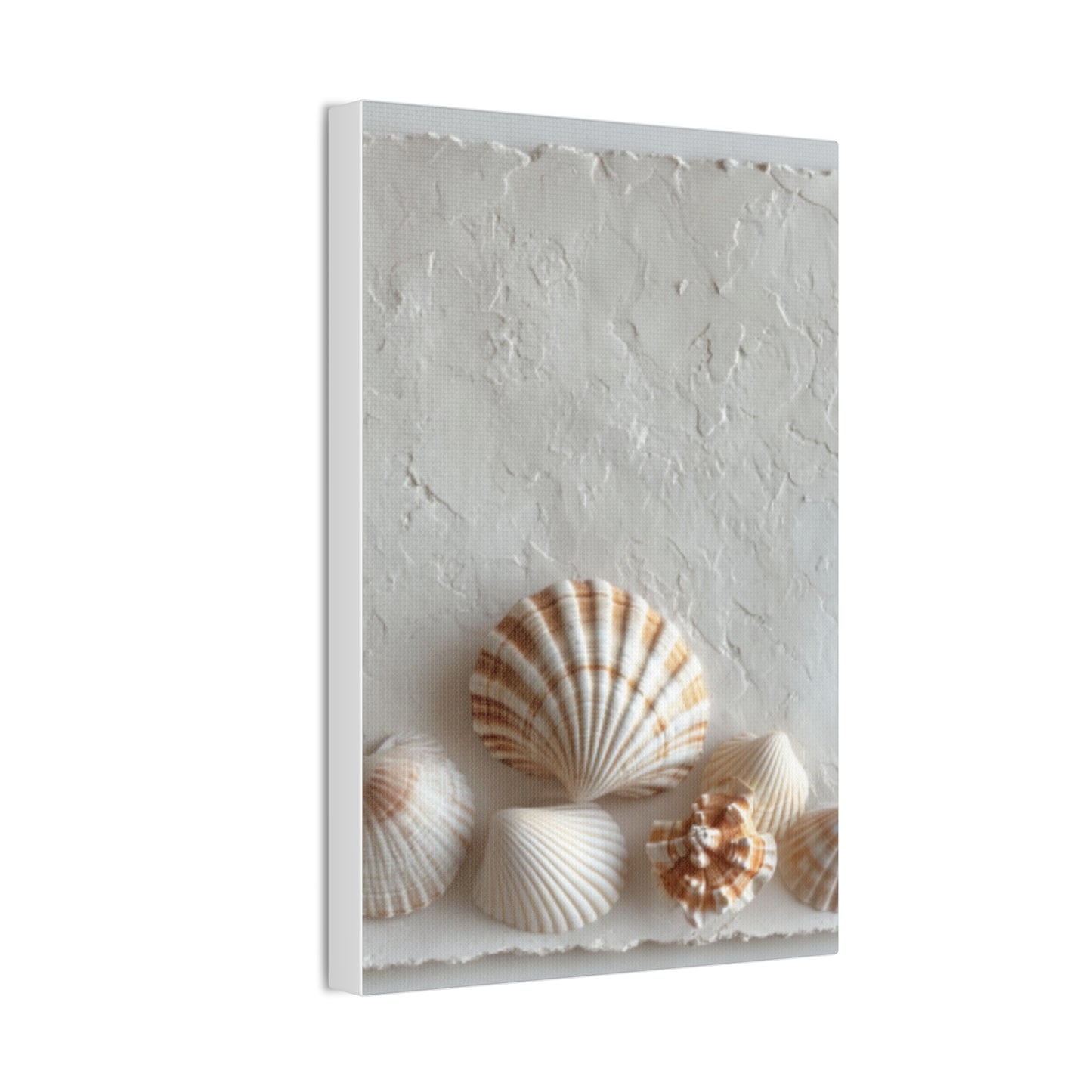 Seashell Serenity Canvas Print