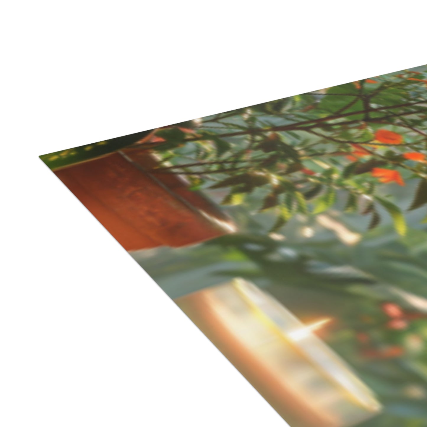 Serene Homescapes/Postcard Bundles (envelopes included)