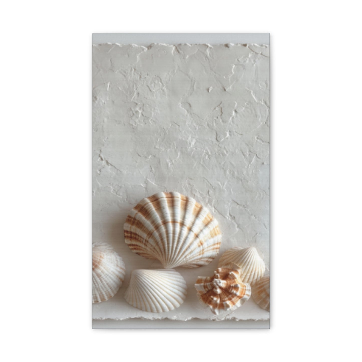 Seashell Serenity Canvas Print