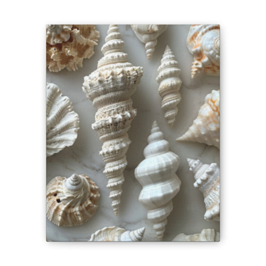 Seashell Serenity Canvas Print