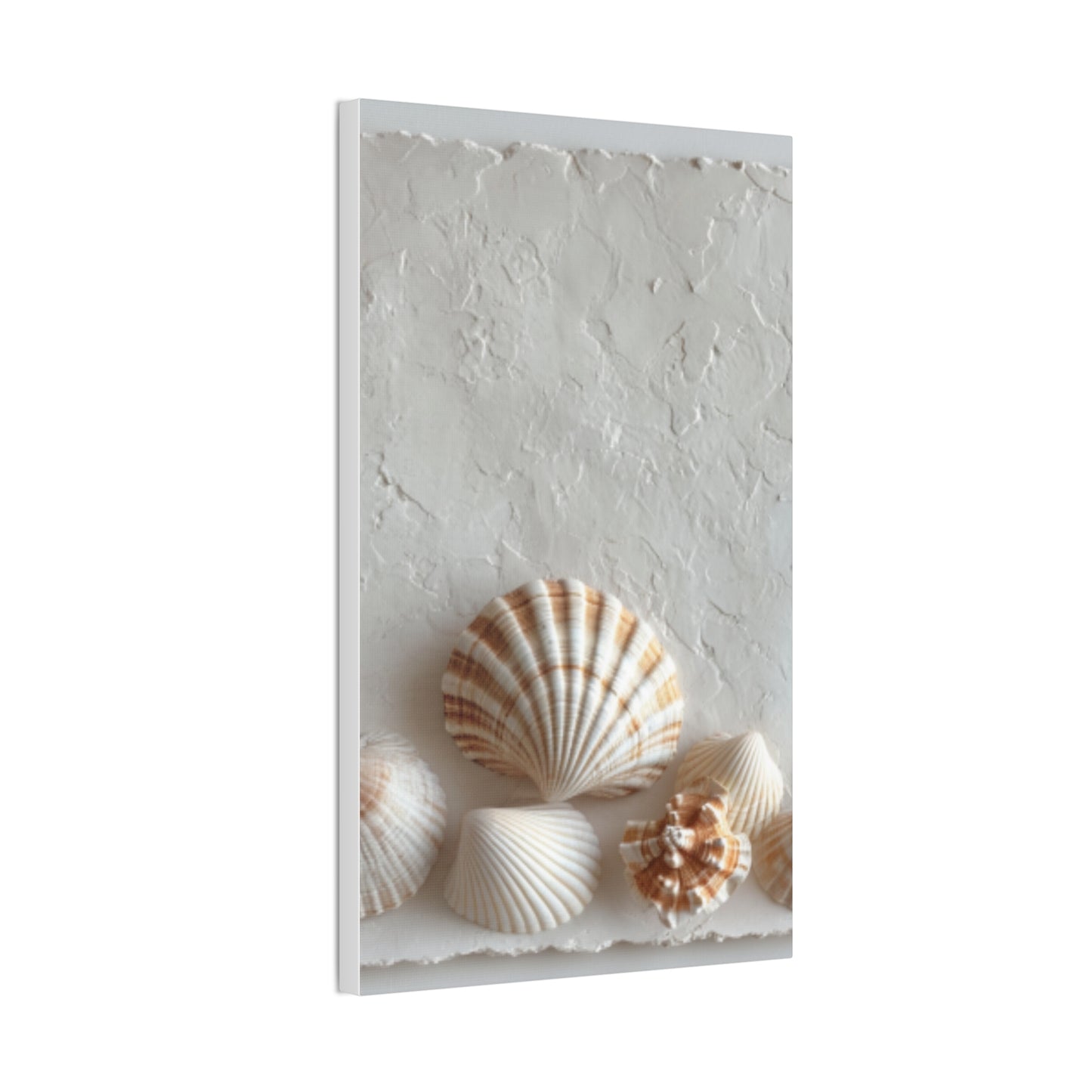 Seashell Serenity Canvas Print