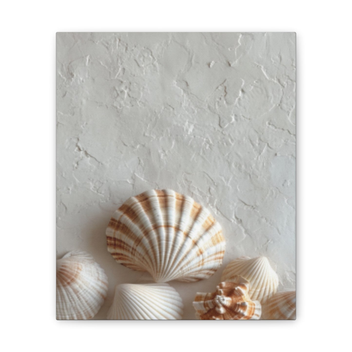 Seashell Serenity Canvas Print