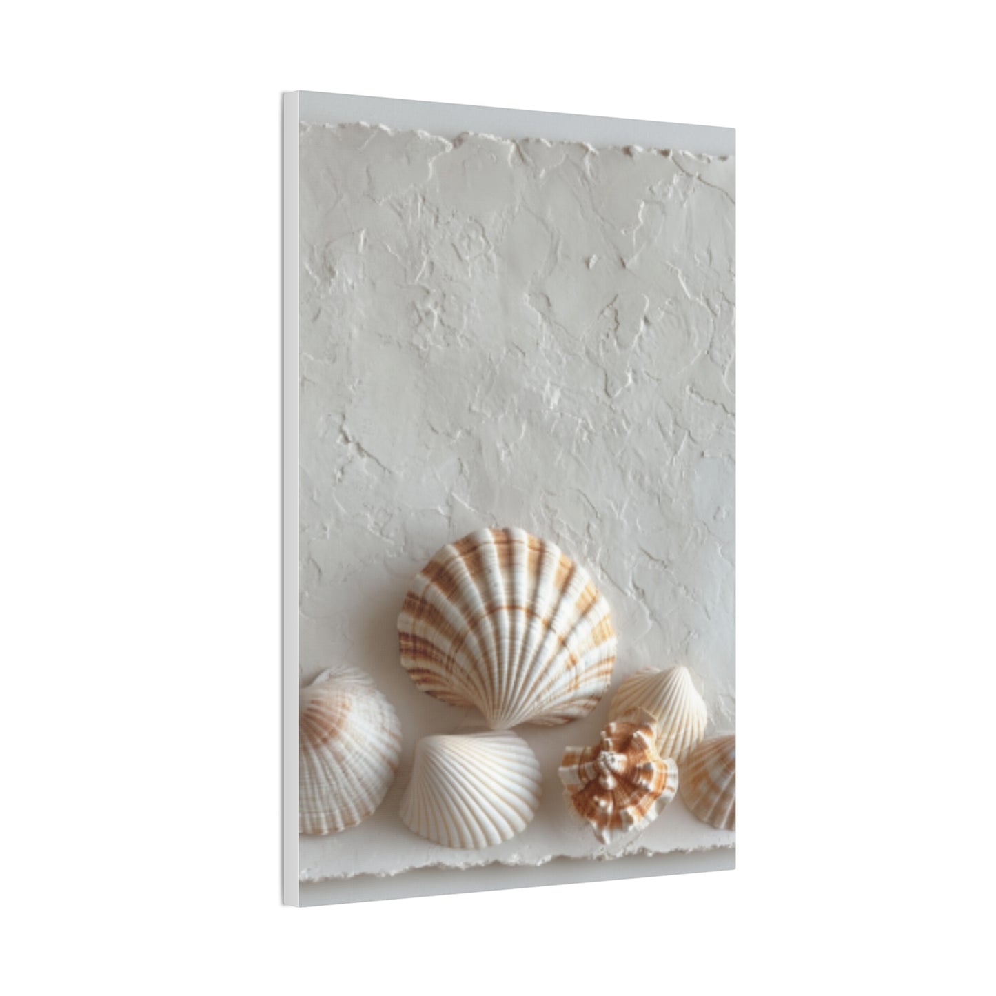 Seashell Serenity Canvas Print