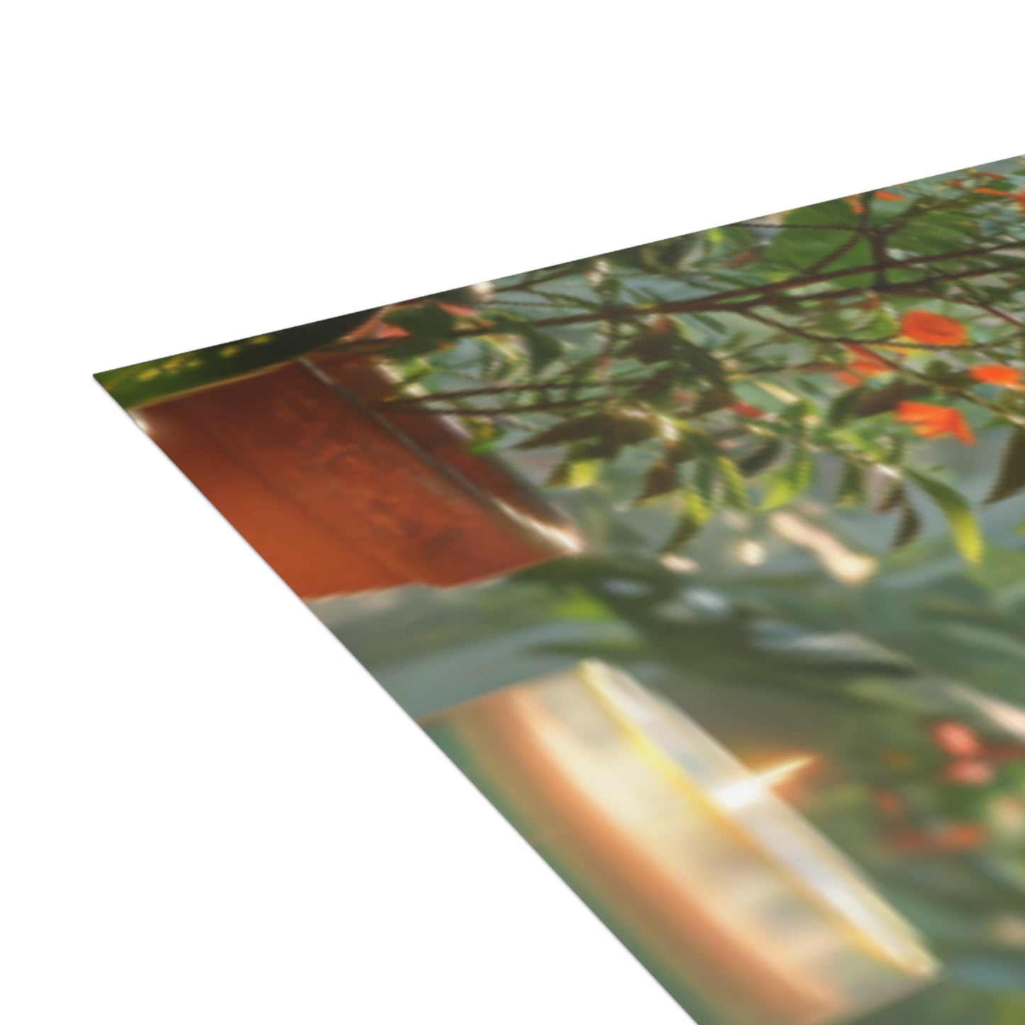 Serene Homescapes/Postcard Bundles (envelopes included)