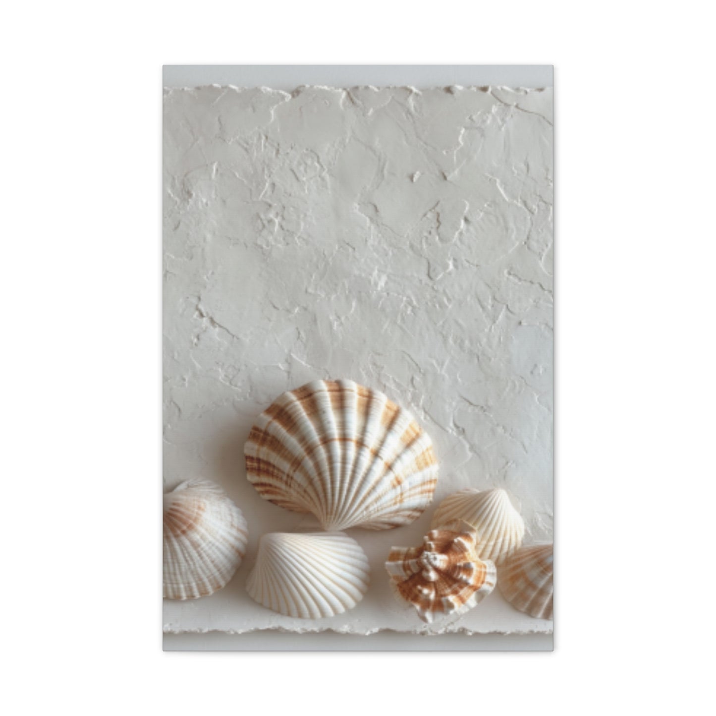 Seashell Serenity Canvas Print