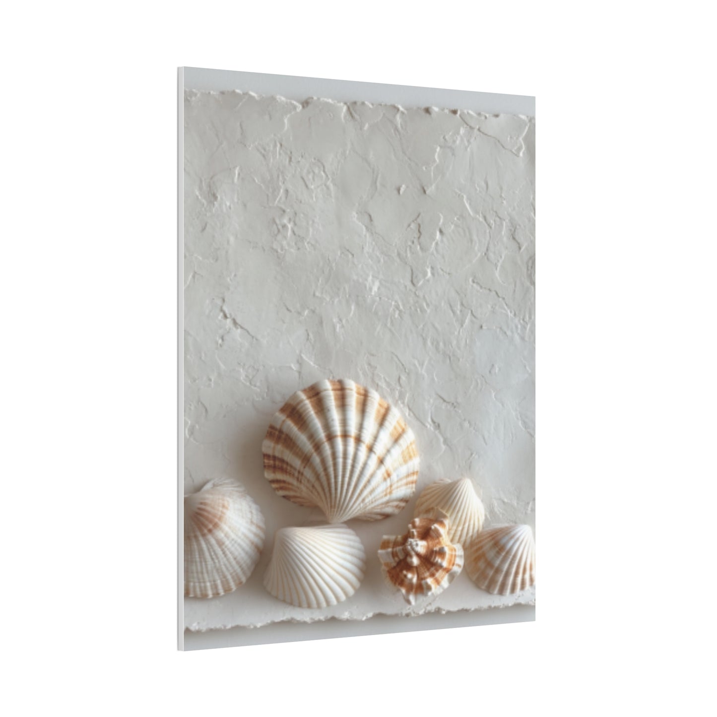 Seashell Serenity Canvas Print