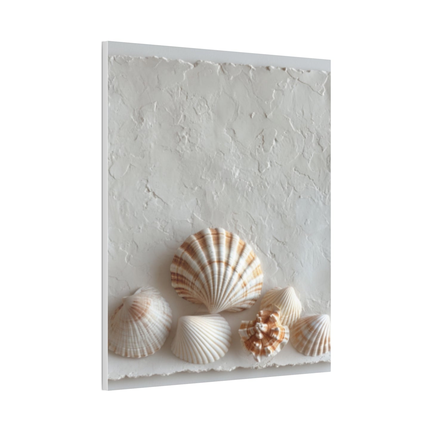Seashell Serenity Canvas Print
