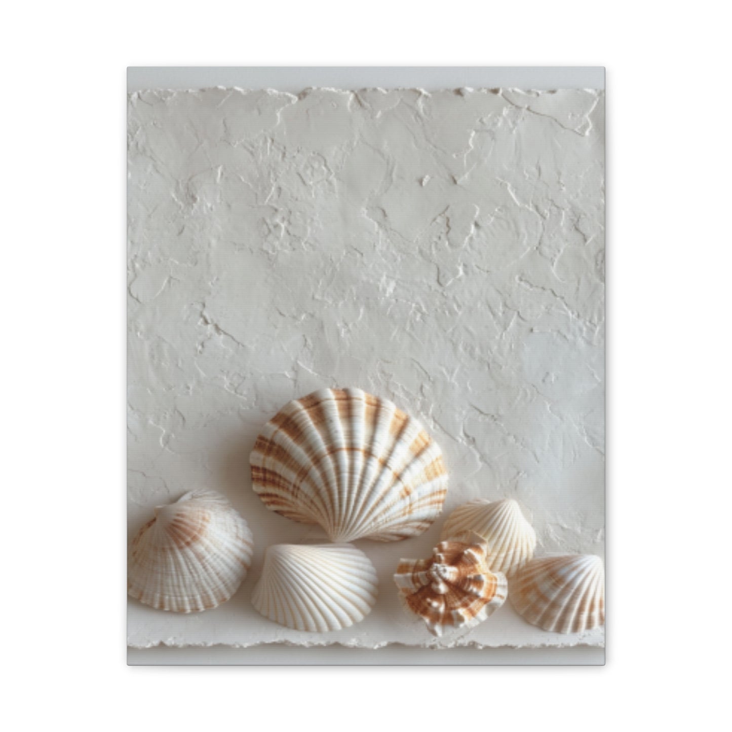 Seashell Serenity Canvas Print