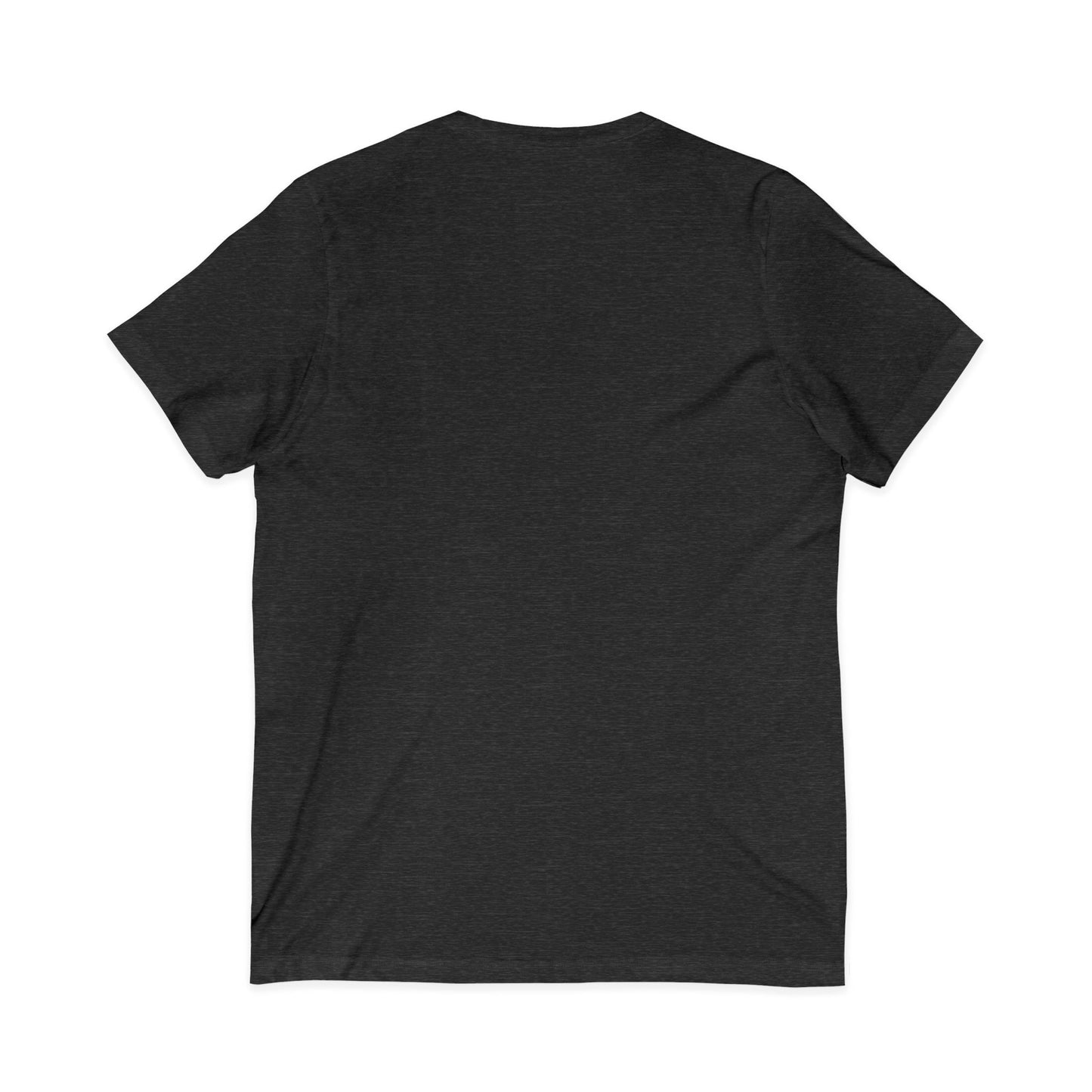 Howard University Class of 2030 Unisex V-Neck T-Shirt | The Mecca Incoming Class Tee