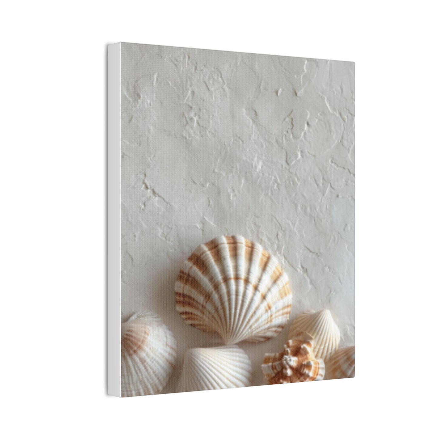 Seashell Serenity Canvas Print