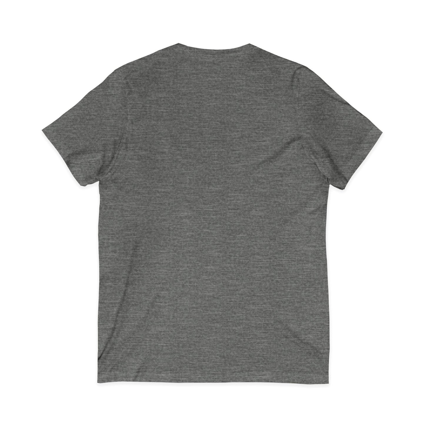 Howard University Class of 2030 Unisex V-Neck T-Shirt | The Mecca Incoming Class Tee
