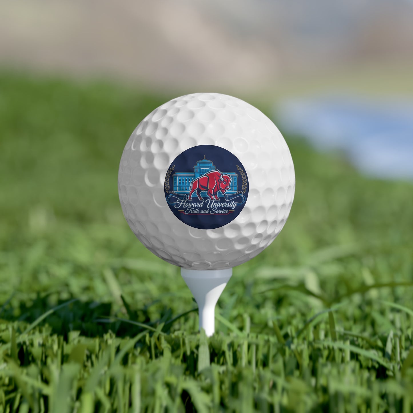 Howard University “The Yard Legacy” Golf Ball Set, 6 pcs 4