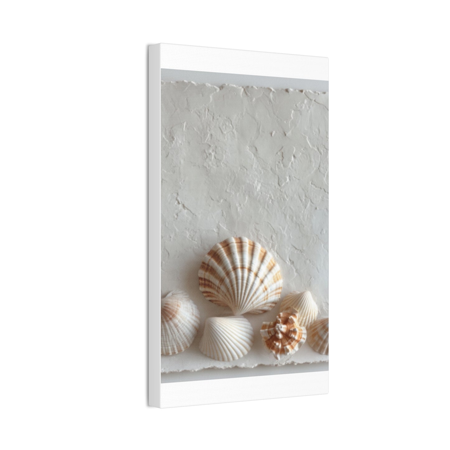Seashell Serenity Canvas Print