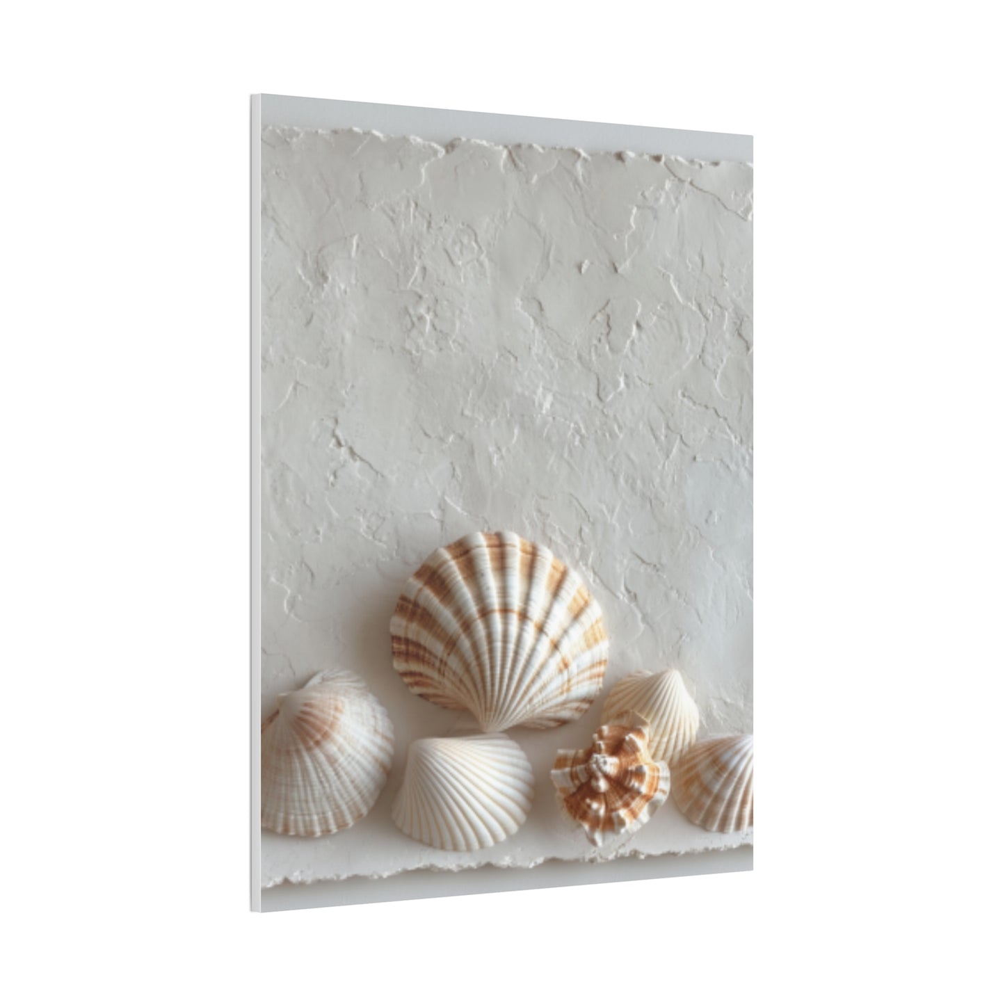 Seashell Serenity Canvas Print