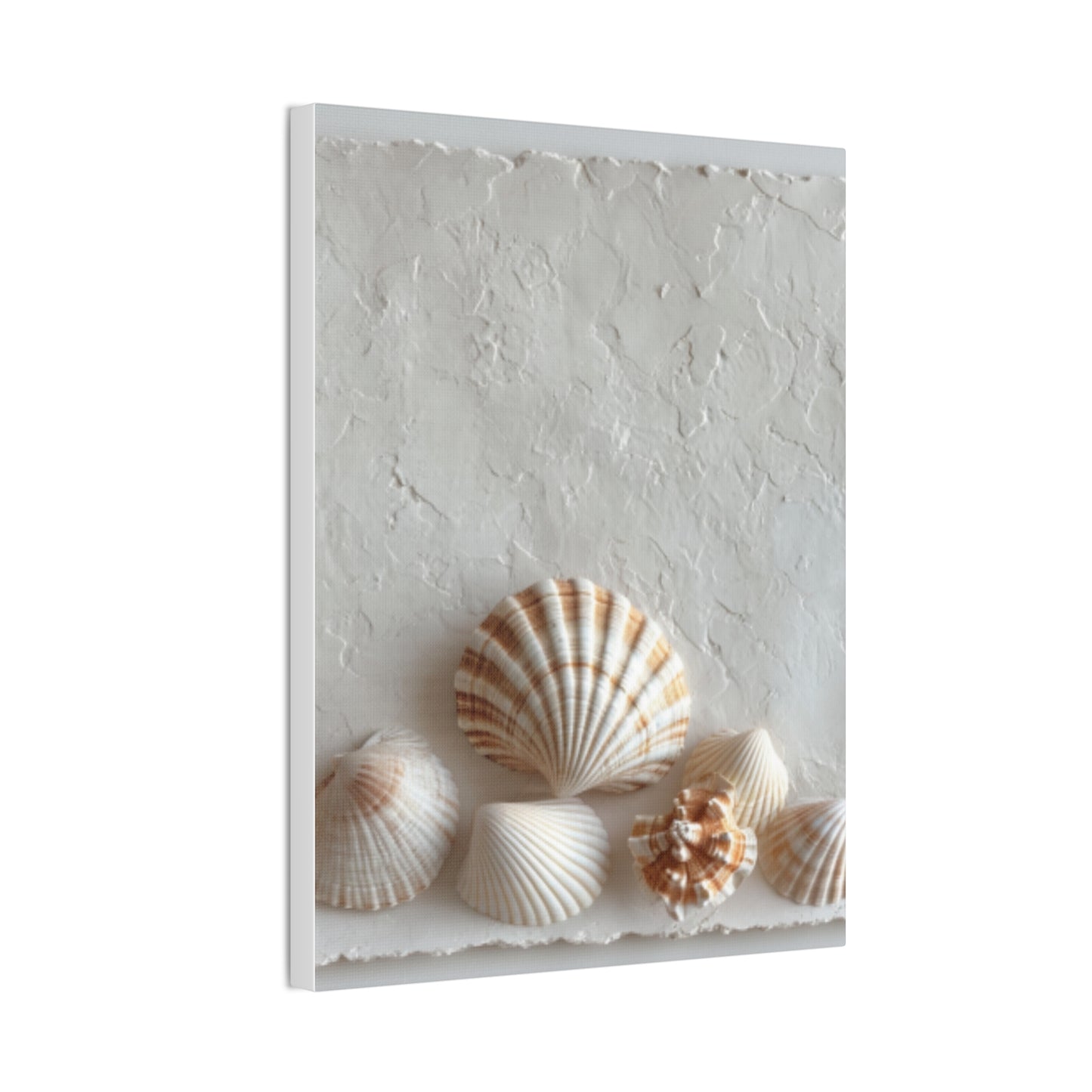 Seashell Serenity Canvas Print