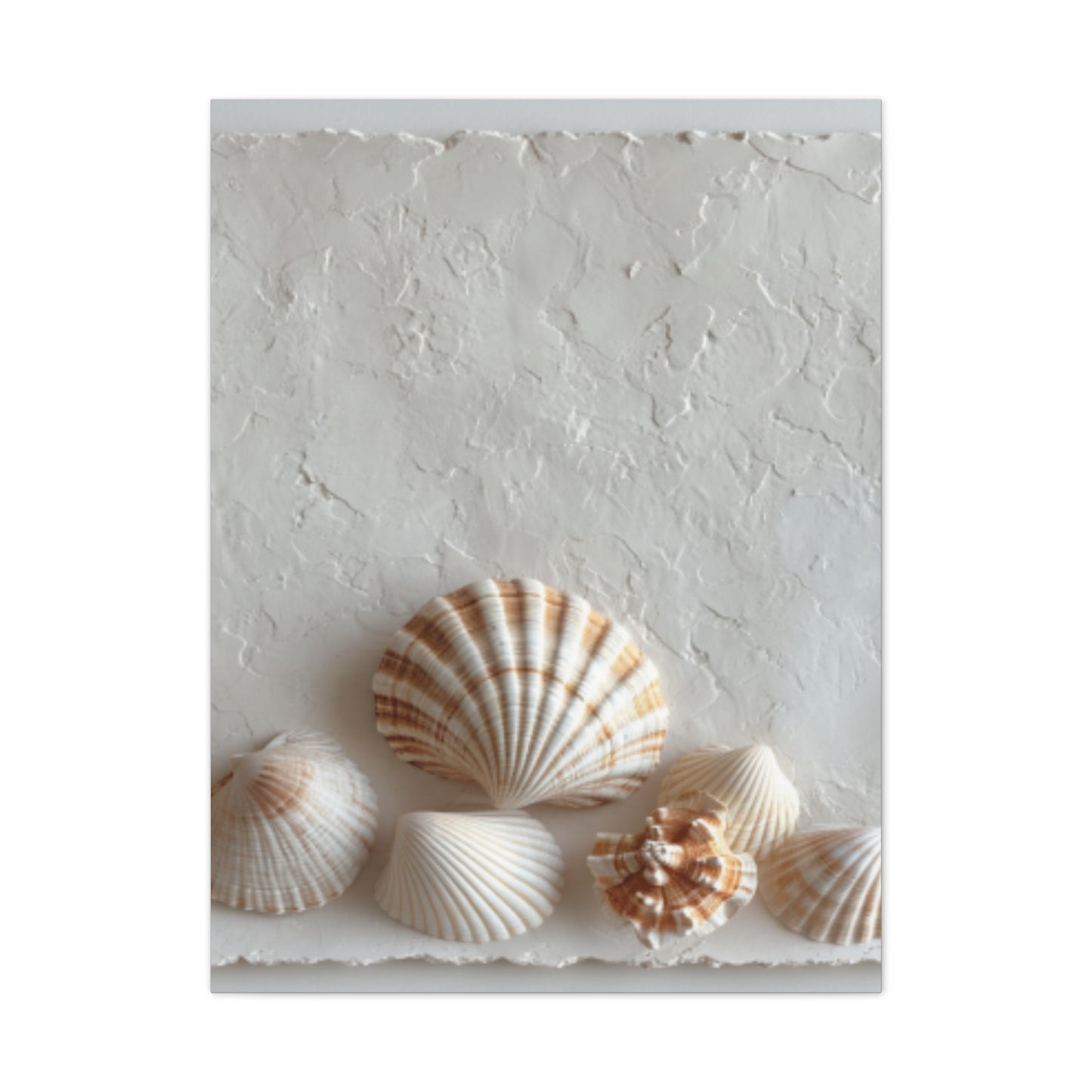 Seashell Serenity Canvas Print