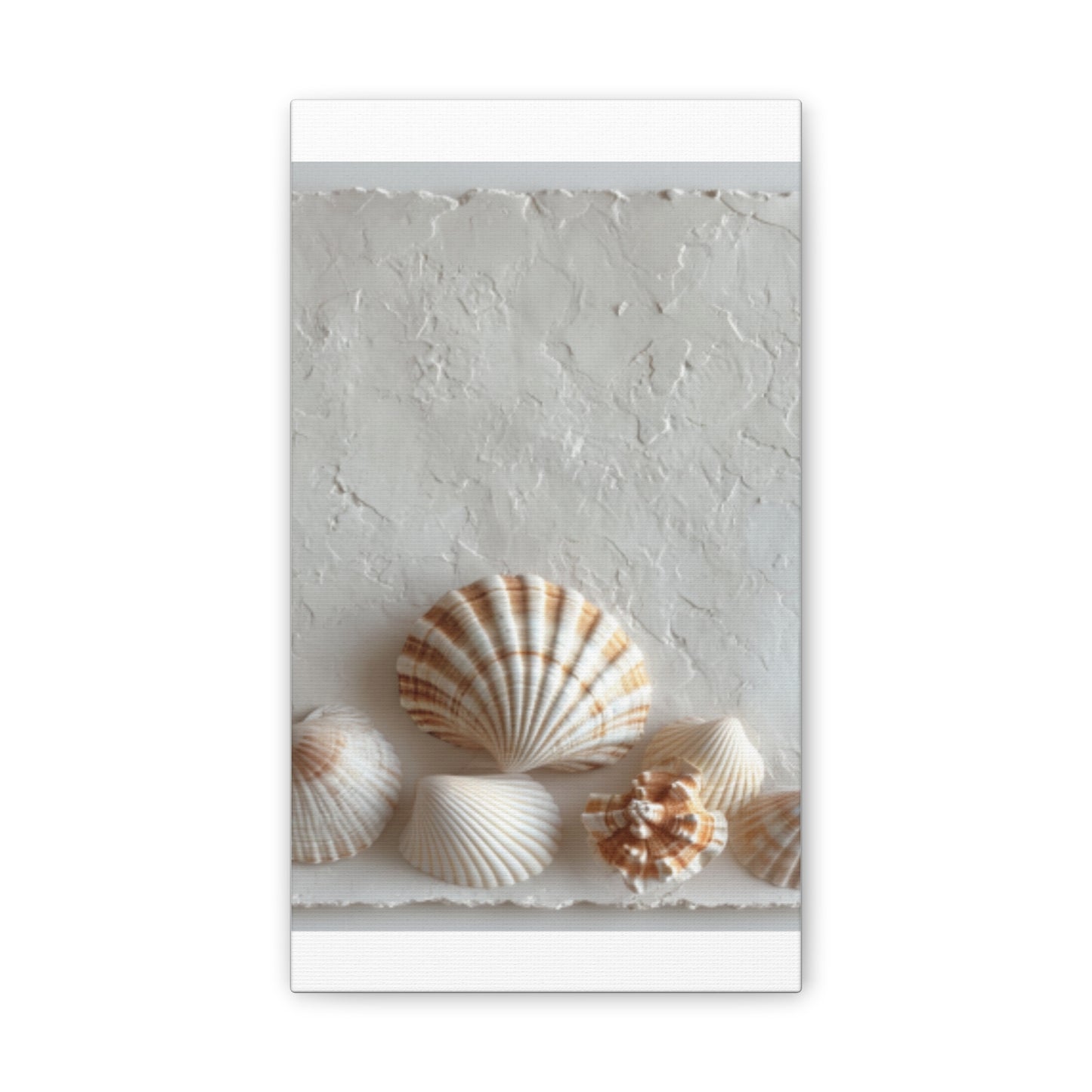 Seashell Serenity Canvas Print