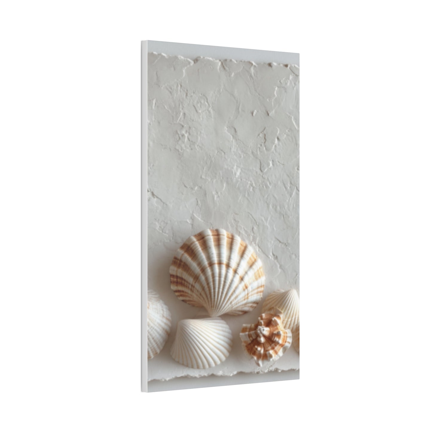 Seashell Serenity Canvas Print
