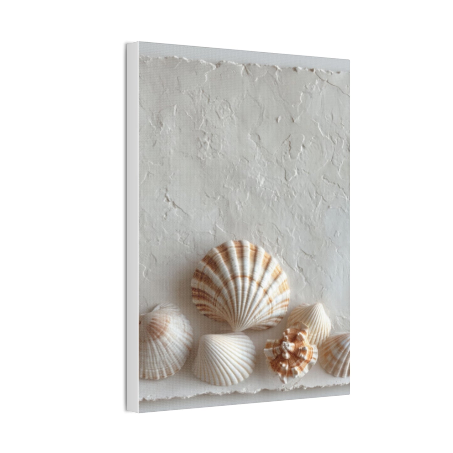 Seashell Serenity Canvas Print