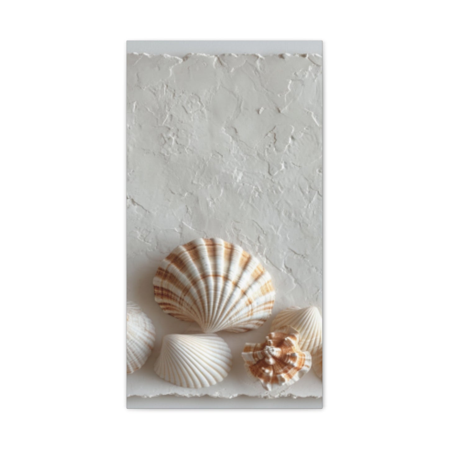 Seashell Serenity Canvas Print