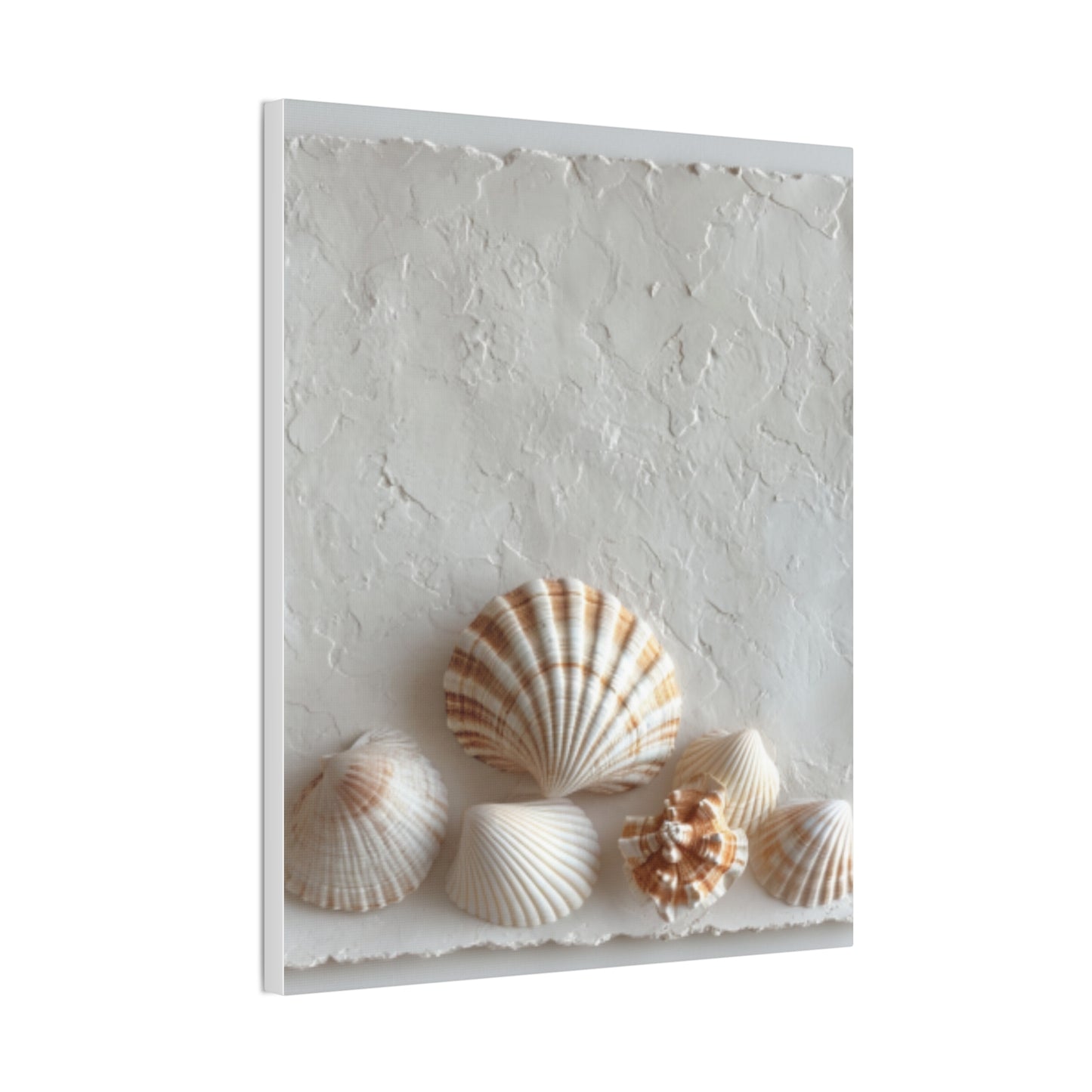 Seashell Serenity Canvas Print