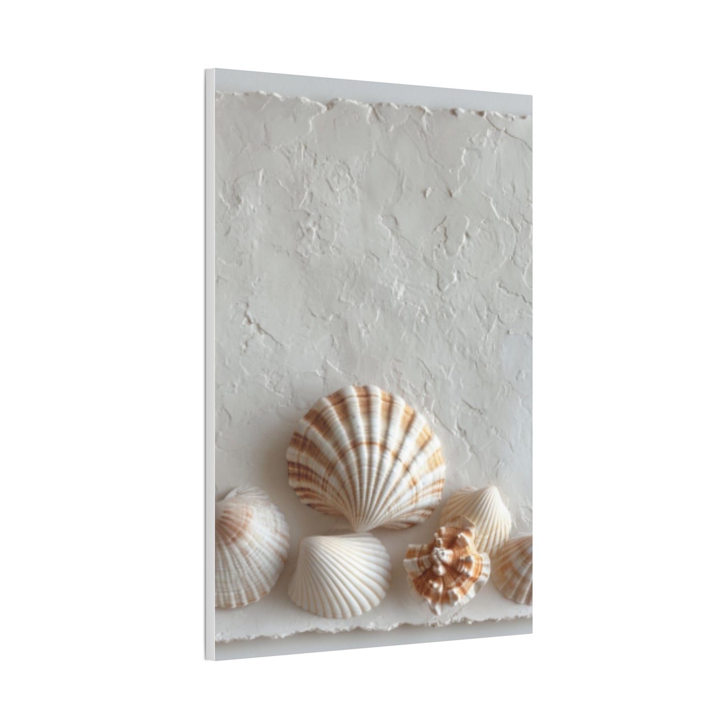 Seashell Serenity Canvas Print